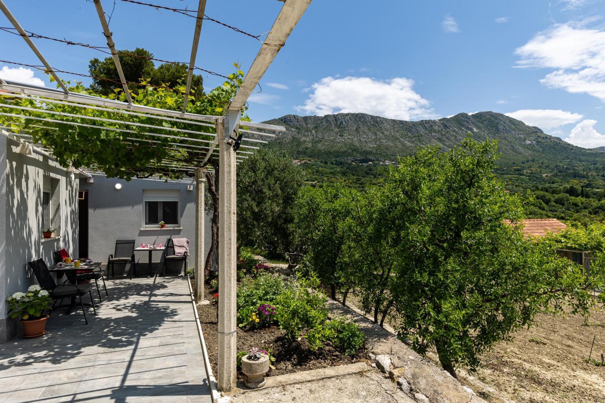 Apartments Roza Mlini Rom bilde