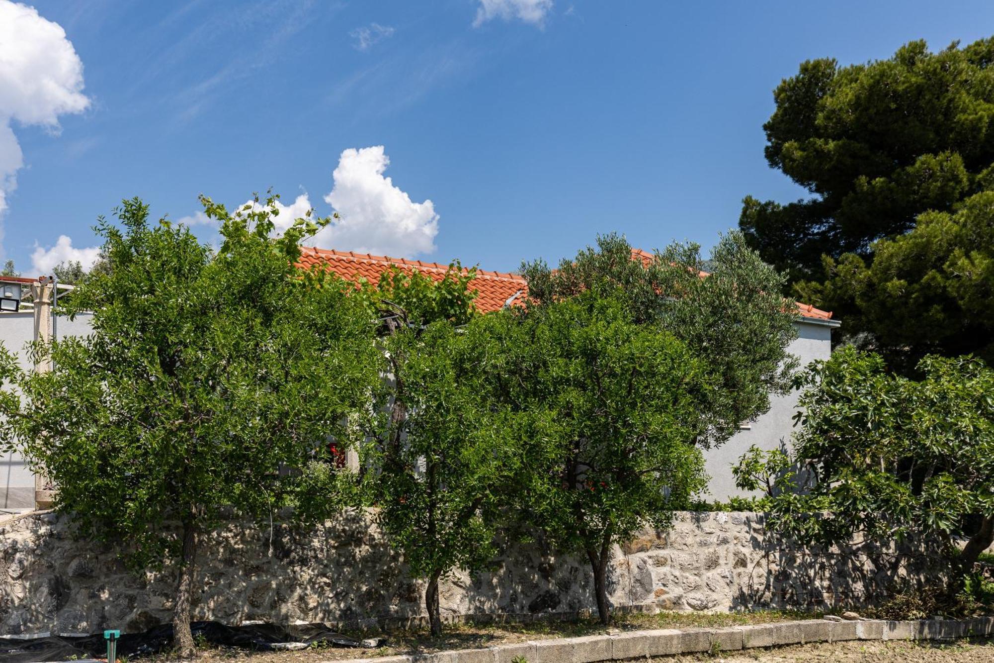 Apartments Roza Mlini Rom bilde